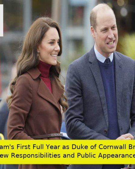 William's First Full Year as Duke of Cornwall Brings New Responsibilities and Public Appearances