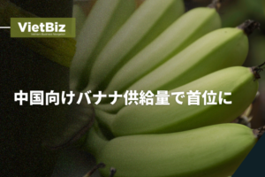 貿易・輸出入 ベトナム経済 ベトナム、中国向けバナナ供給量で首位に 2024年11月20日